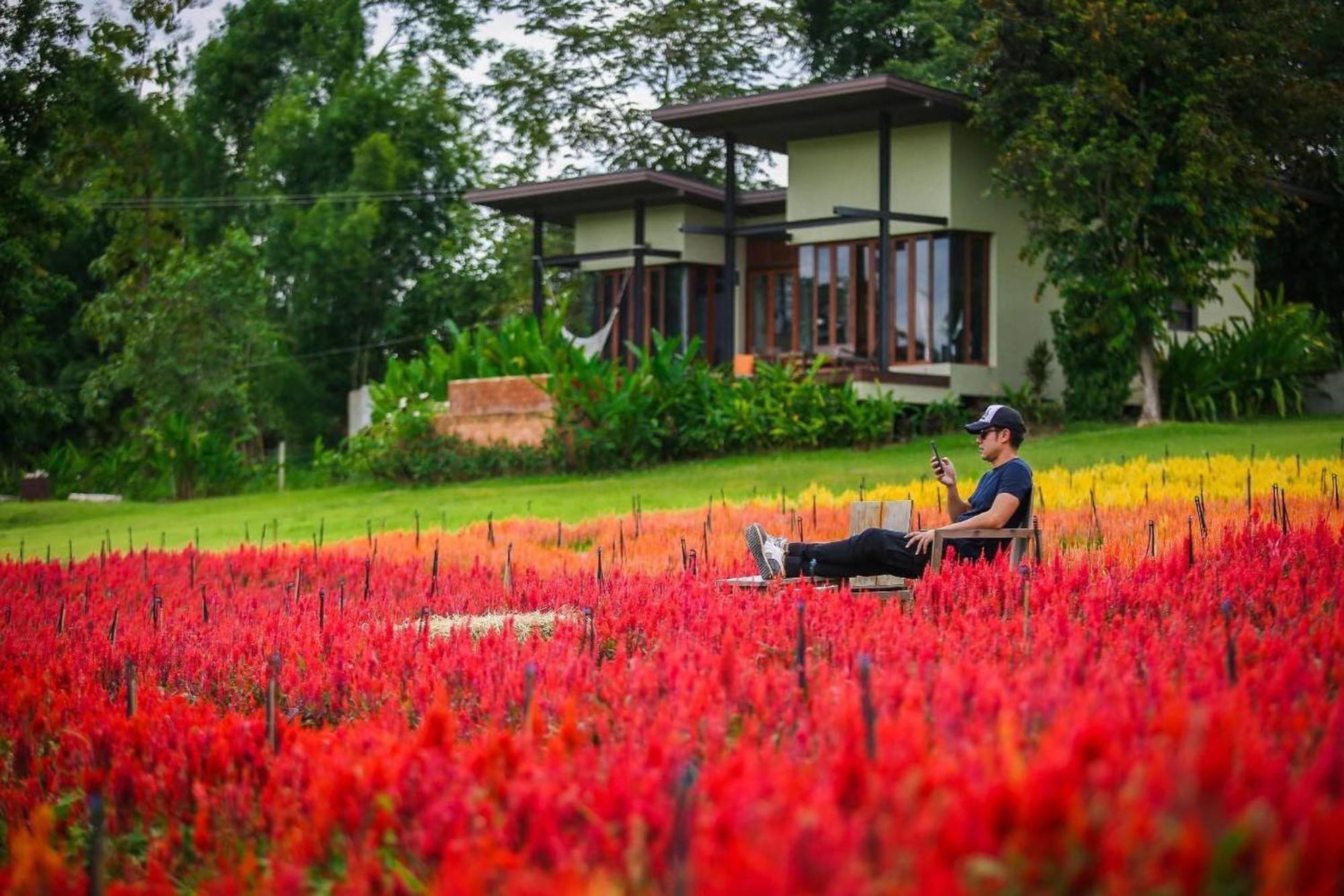 Puripai Villa Buitenkant foto